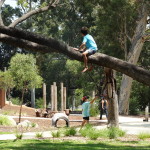 kid in tree adventure playground